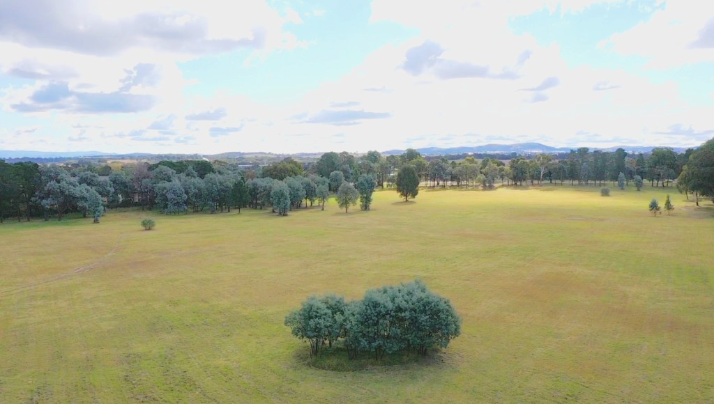 Ecology of Section 76